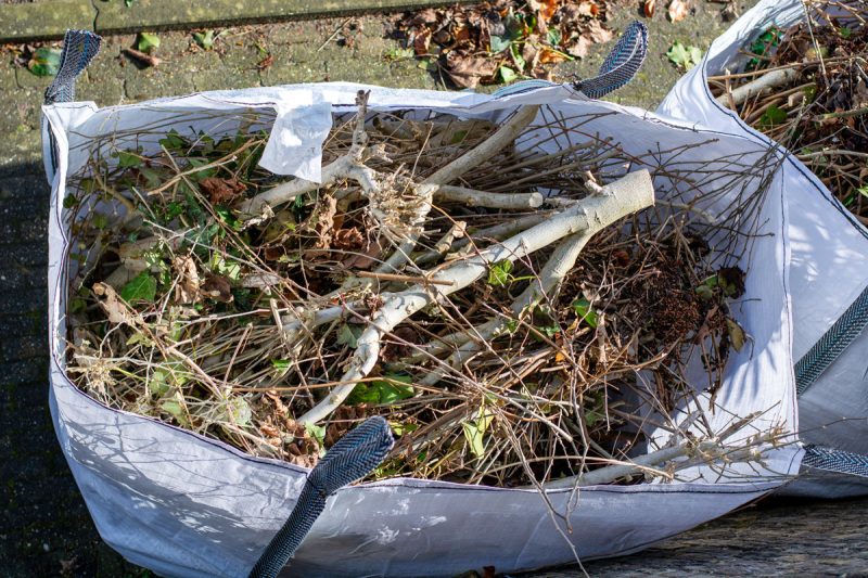 Garden Clearance in Reading